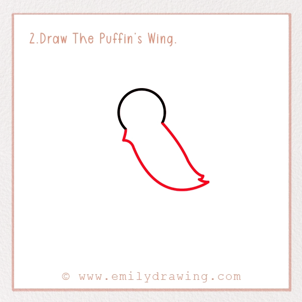 How to Draw a Puffin - Step 2 – Draw The Puffin’s Wing