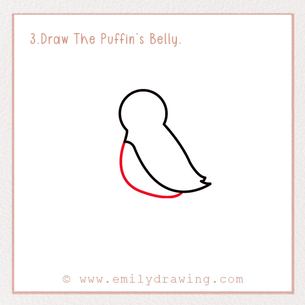 How to Draw a Puffin - Step 3 – Draw The Puffin’s Belly