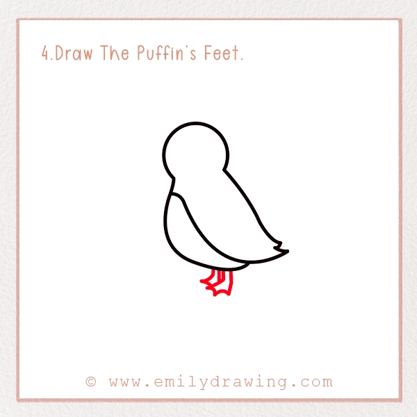 How to Draw a Puffin - Step 4 – Draw The Puffin’s Feet