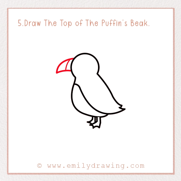 How to Draw a Puffin - Step 5 – Draw The Top of The Puffin’s Beak