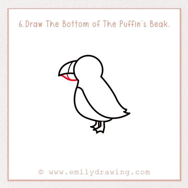 How to Draw a Puffin - Step 6 – Draw The Bottom of The Puffin’s Beak