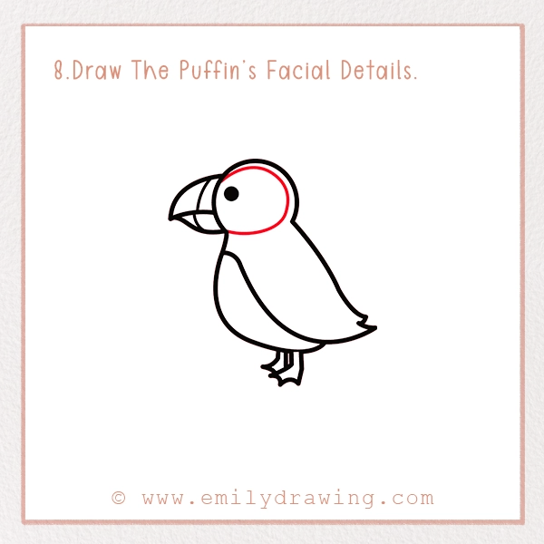 How to Draw a Puffin - Step 8 – Draw The Puffin’s Facial Details