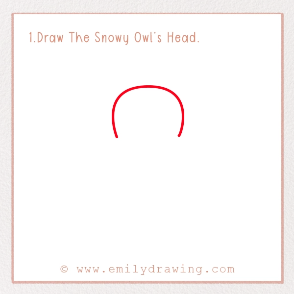 How to Draw a Snowy Owl - Step 1 – Draw The Snowy Owl’s Head