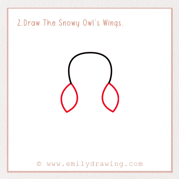 How to Draw a Snowy Owl - Step 2 – Draw The Snowy Owl’s Wings