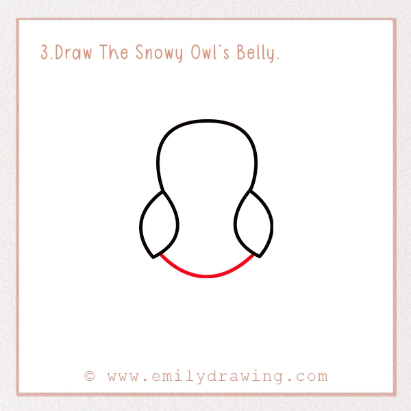 How to Draw a Snowy Owl - Step 3 – Draw The Snowy Owl’s Belly