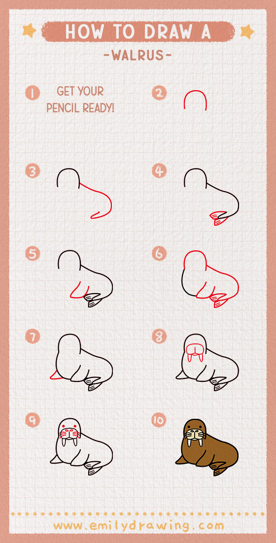 How to Draw a Walrus Feature