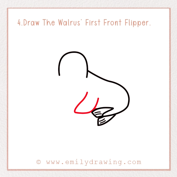 How to Draw a Walrus - Step 4 – Draw The Walrus’ First Front Flipper