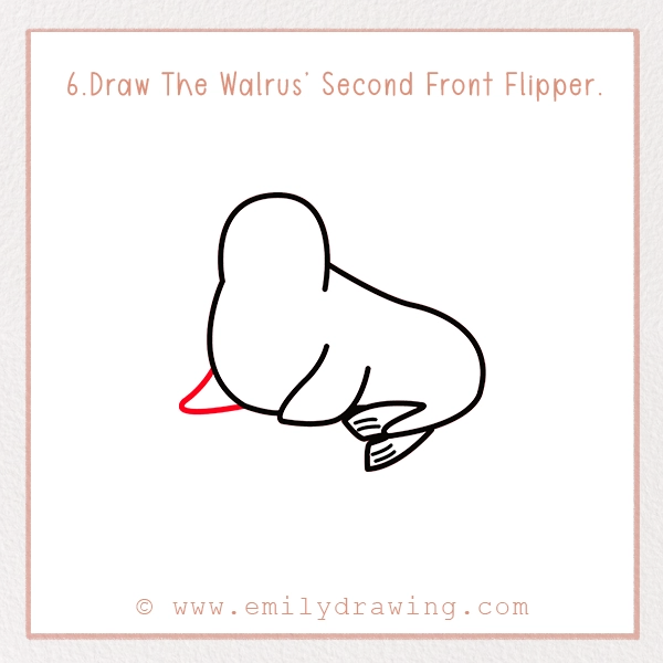 How to Draw a Walrus - Step 6 – Draw The Walrus’ Second Front Flipper