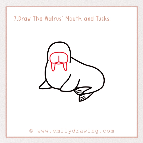 How to Draw a Walrus - Step 7 – Draw The Walrus’ Mouth and Tusks