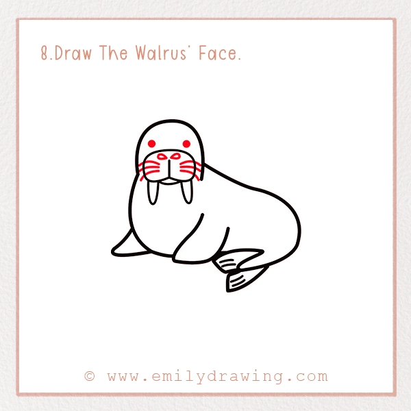 How to Draw a Walrus - Step 8 – Draw The Walrus’ Face