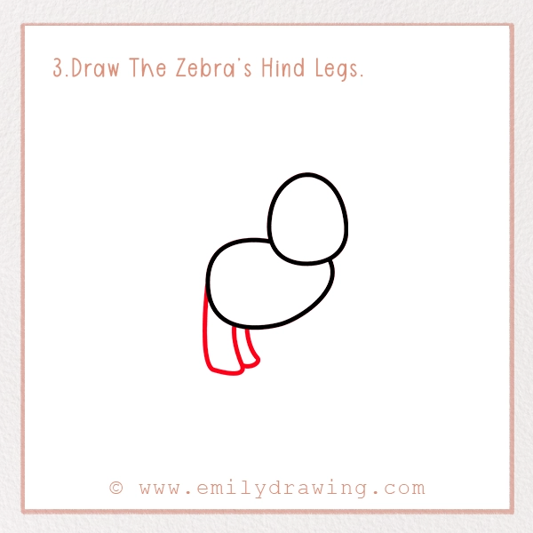 How to Draw a Zebra - Step 3 – Draw The Zebra’s Hind Legs