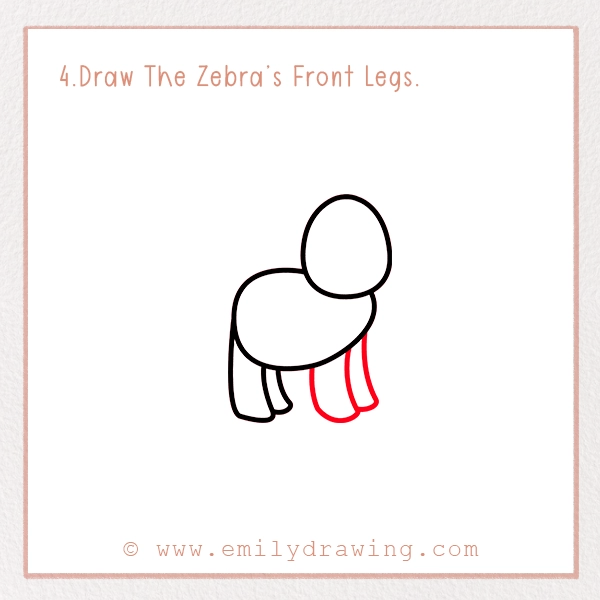 How to Draw a Zebra - Step 4 – Draw The Zebra’s Front Legs