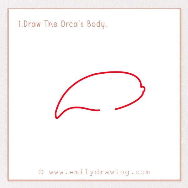 How to Draw an Orca - Step 1 – Draw The Orca’s Body