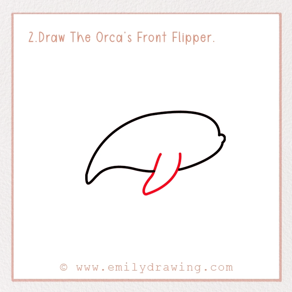 How to Draw an Orca - Step 2 – Draw The Orca’s Front Flipper