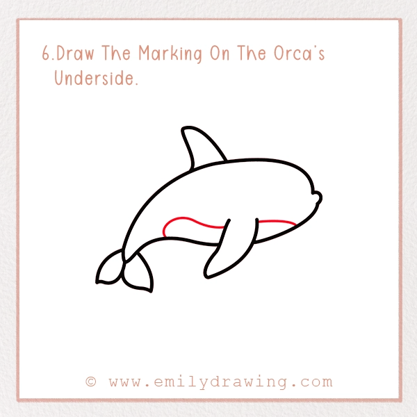 How to Draw an Orca - Step 6 – Draw The Marking on The Orca’s Underside