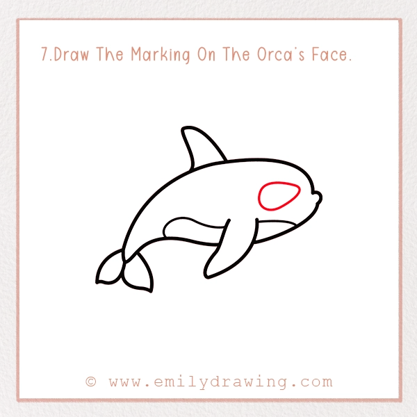 How To Draw An Orca - Emily Drawing