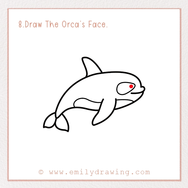 How To Draw An Orca - Emily Drawing