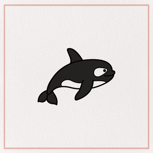 How to Draw an Orca Feature