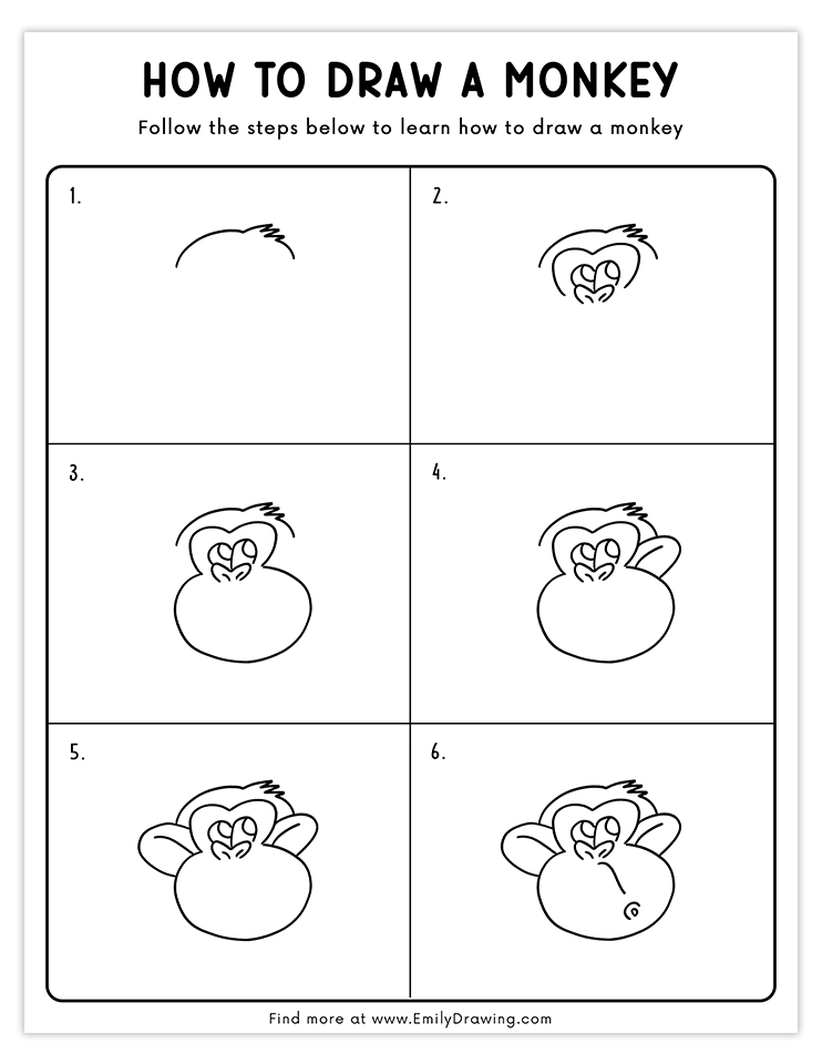 Step-by-step tutorial to draw a detailed monkey face.