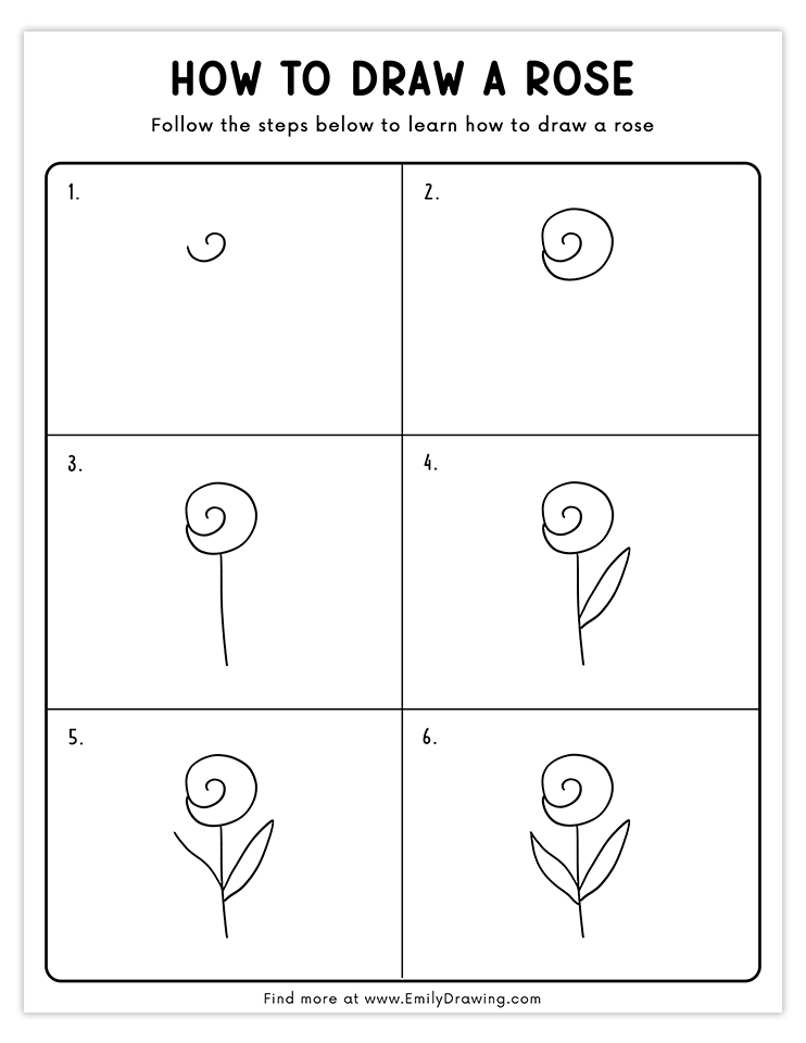 A 6-step tutorial to draw a minimalist rose with a spiral center and leaves.