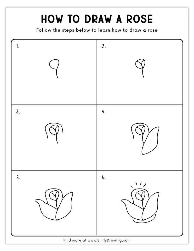 A 6-step tutorial to sketch an opening rose with detailed petals and a base.