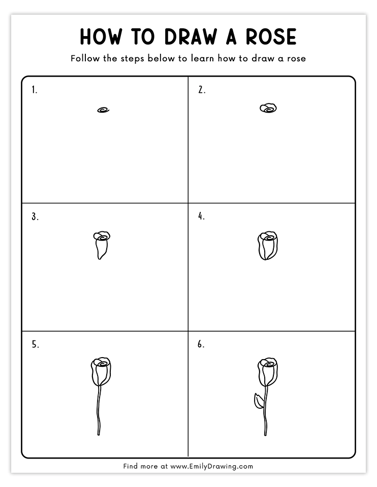 Learn how to draw a rose in 6 simple steps, perfect for beginner artists.